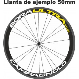 Pegatinas CAMPAGNOLO BORAULTRA TWO