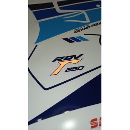 Kit adhesivos Suzuki RGV 250 VJ22 completo