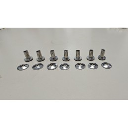 Kit remaches cúpula Aprilia RS50 RS125 RS250