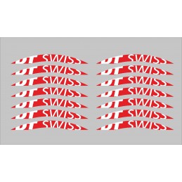 Pegatinas llantas bici dt swiss