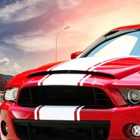 Vinilos y pegatinas adhesivas para tu coche o vehículo